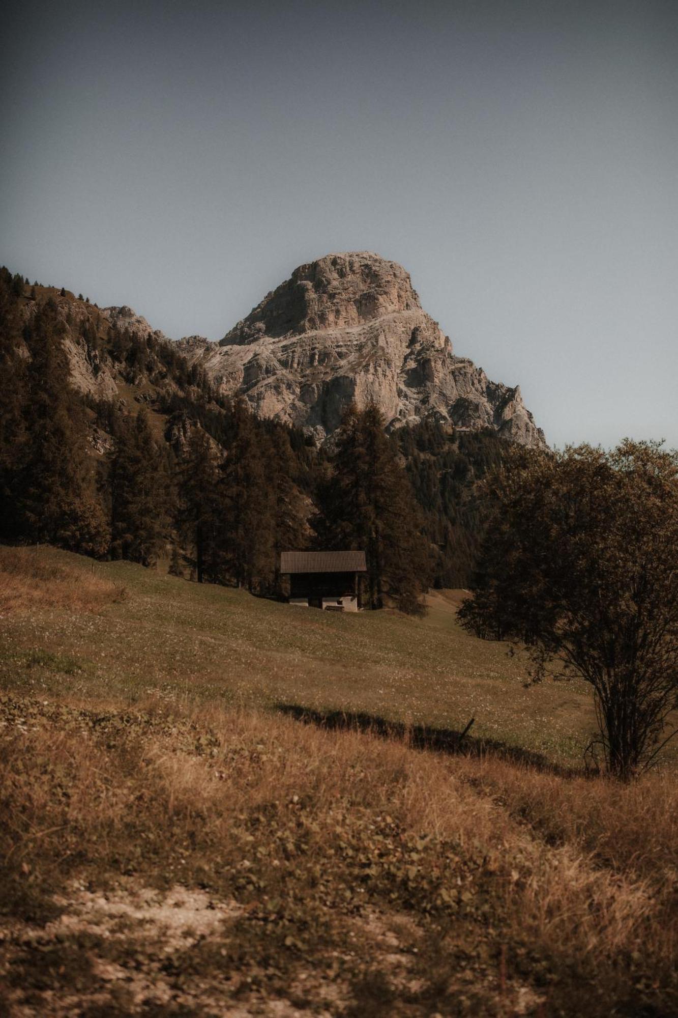 Chalet Roenn Colfosco Buitenkant foto